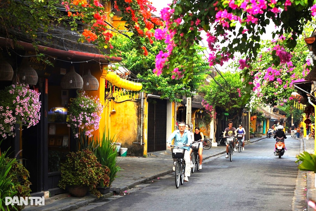 Phố Cổ Hội An Đường Đi