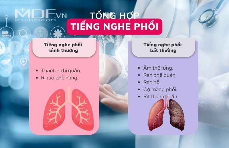 Phổi Thô Là Gì?