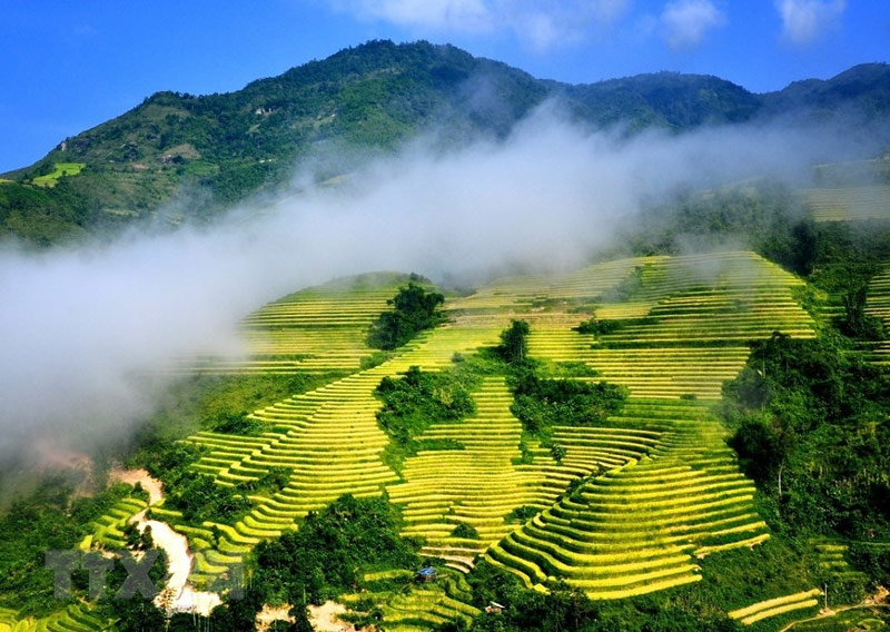 Tả Cảnh Đẹp Sapa Lớp 3 Gallery 2