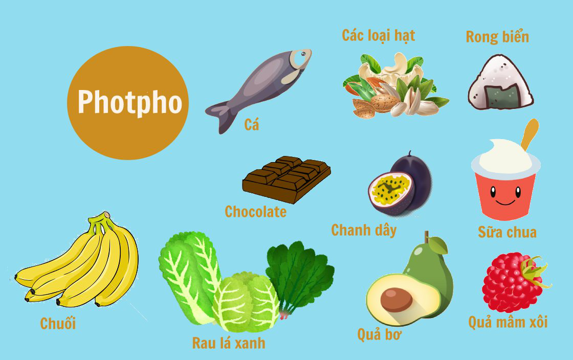 Photpho Có Tác Dụng Gì?