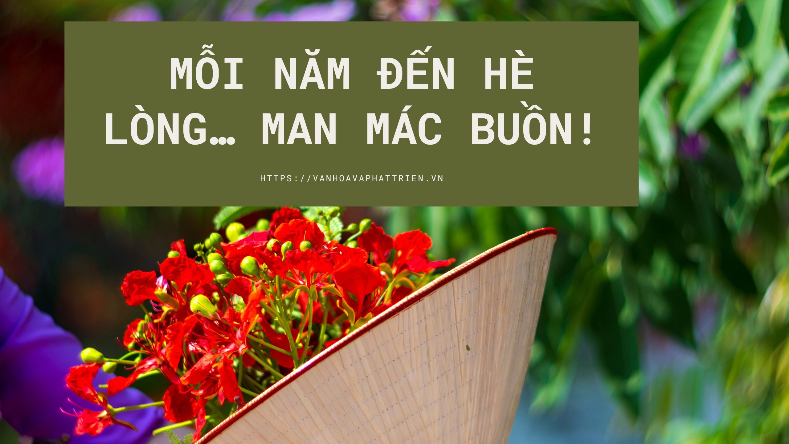 Hè về phượng hồng đẹp lắm Gallery 2