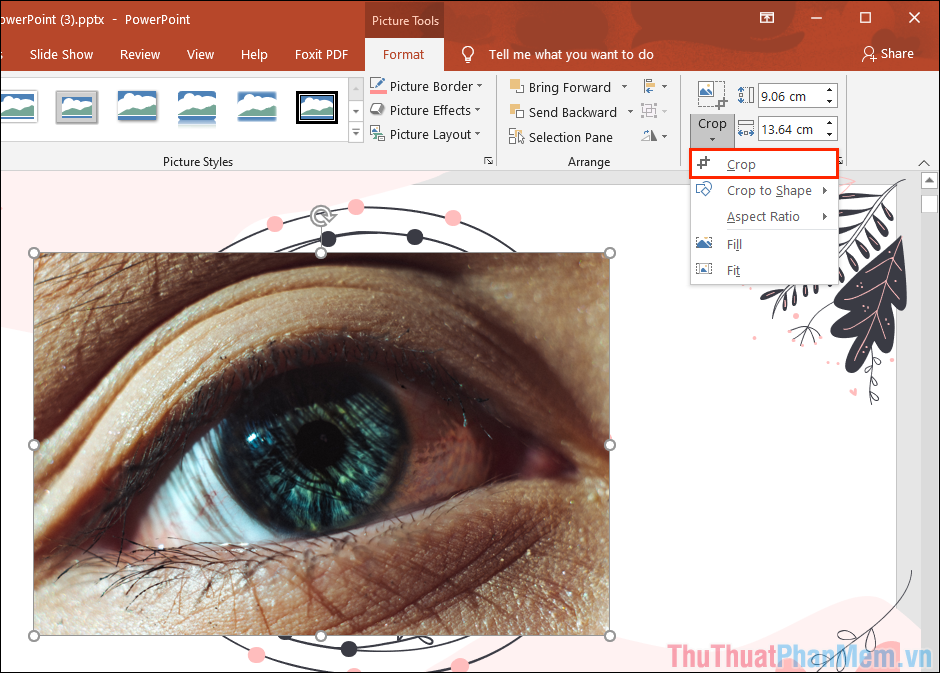 Cách tạo khung tròn cho ảnh trong PowerPoint Gallery 1