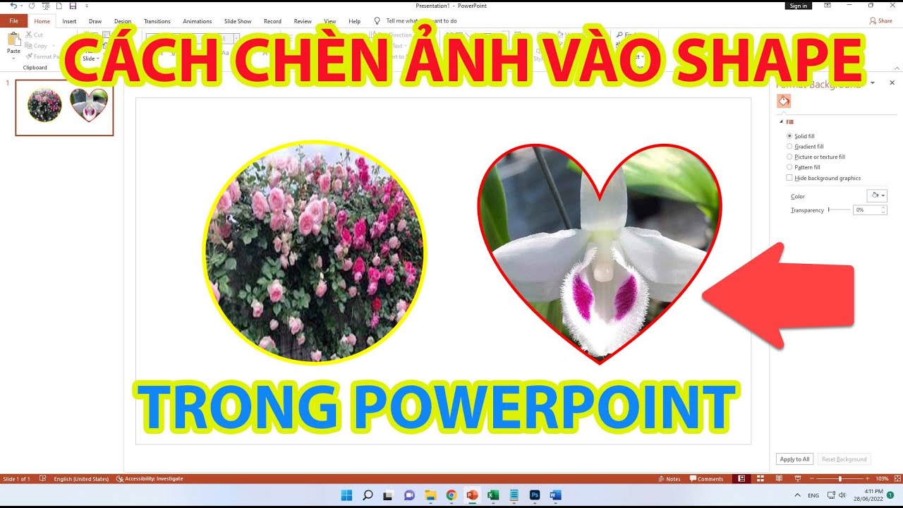 Cách tạo khung tròn cho ảnh trong PowerPoint Gallery 2