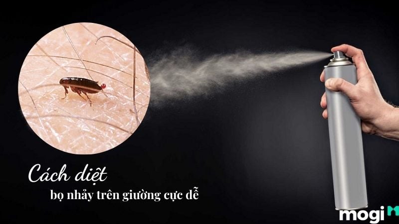 Cách Diệt Bọ Nhảy Hiệu Quả Gallery 1