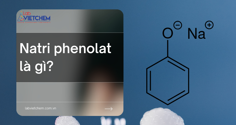 Natri Phenolat ra Phenol Gallery 1