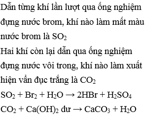 Cách Nhận Biết Khí CO2 Gallery 1