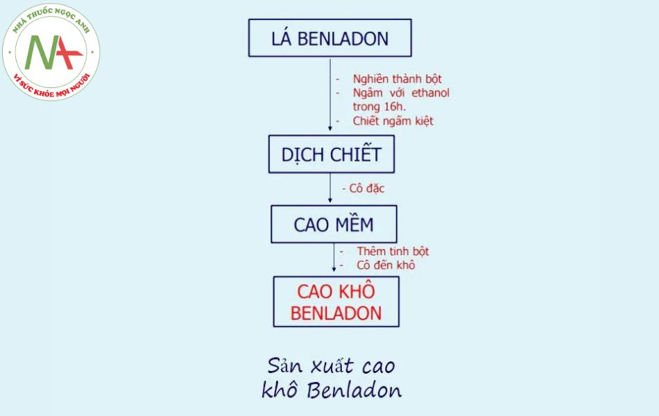 Phương Pháp Ngấm Kiệt: Hướng Dẫn Chi Tiết và Ứng Dụng