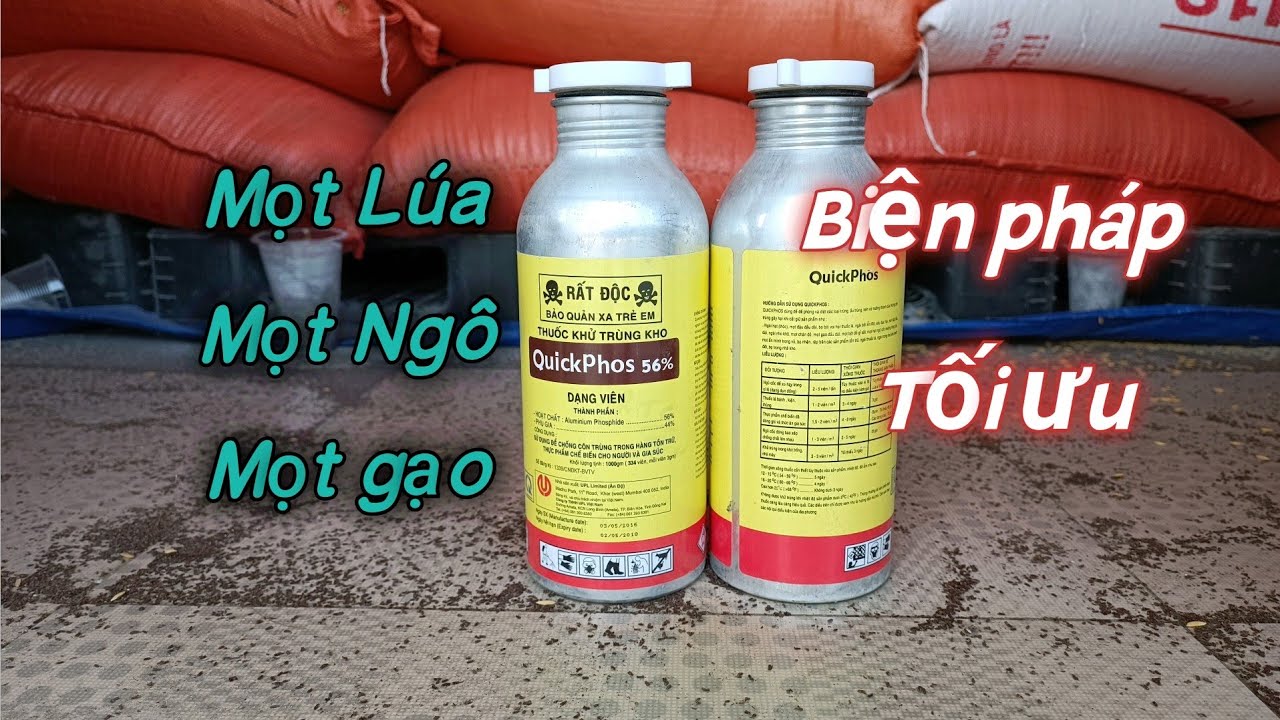 Cách Trị Mọt Lúa Hiệu Quả Gallery 1