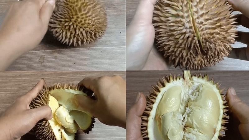 Cách Tách Sầu Riêng Chưa Nứt Gallery 1