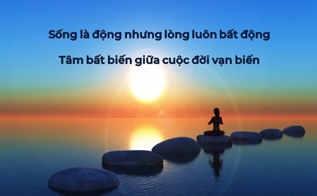 Tâm Tĩnh Lặng Giữa Dòng Đời Vạn Biến Gallery 2
