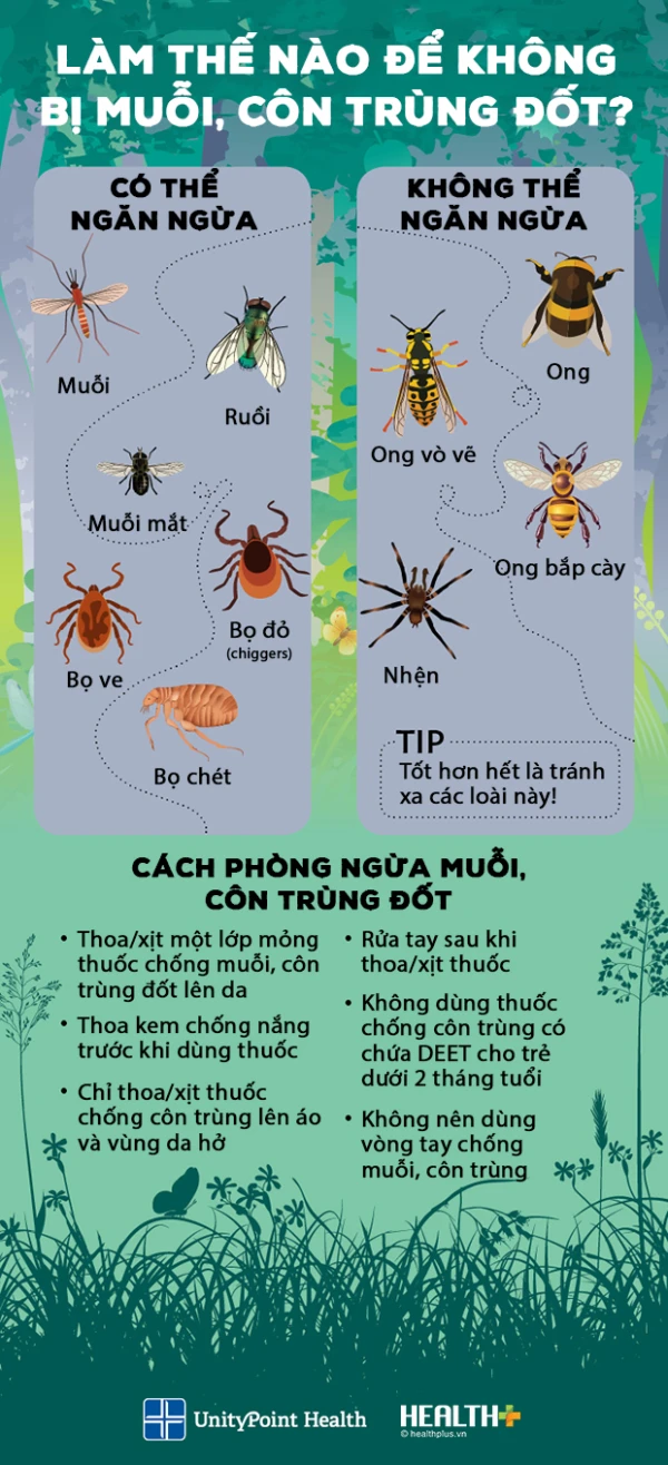 Cách đuổi côn trùng trong vườn hiệu quả và an toàn Gallery 1
