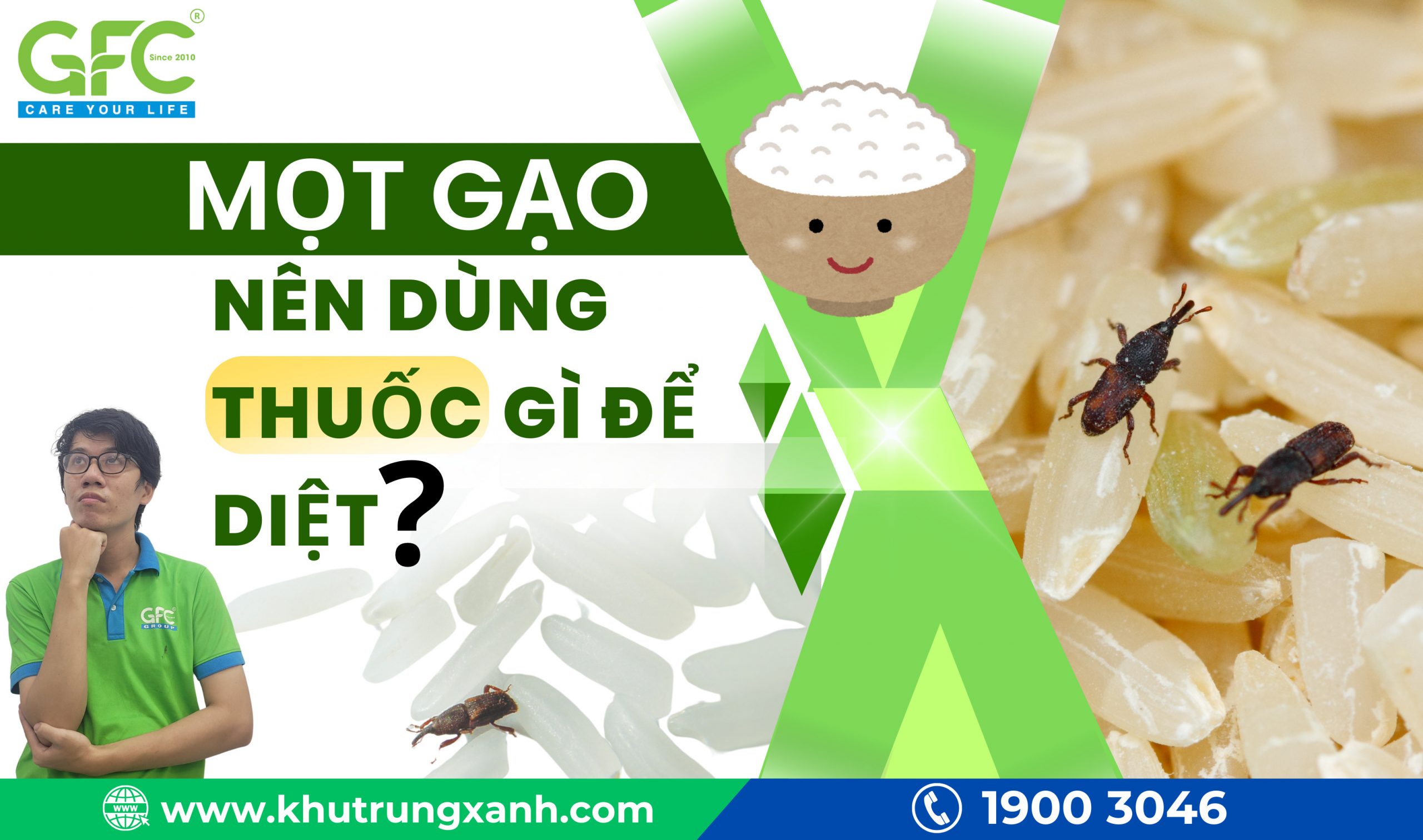 Cách Trị Mọt Thóc Hiệu Quả Gallery 1