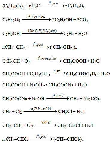 Phương trình điều chế rượu etylic