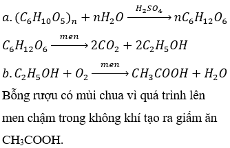Phương trình điều chế rượu etylic Gallery 1