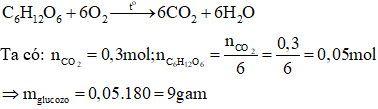 Phương trình đốt cháy glucozơ