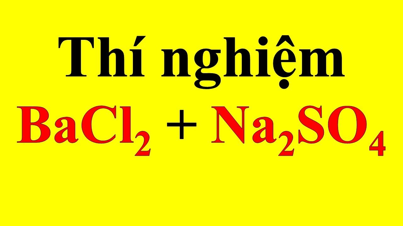 Phản ứng giữa Na2SO4 và BaCl2 Gallery 1