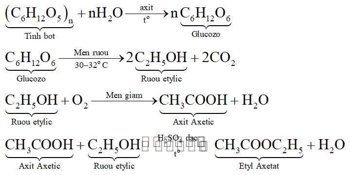 Phương trình điều chế rượu etylic