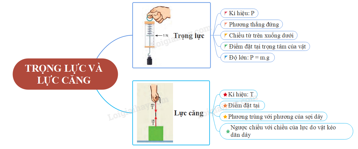 Phương và Chiều của Trọng Lực