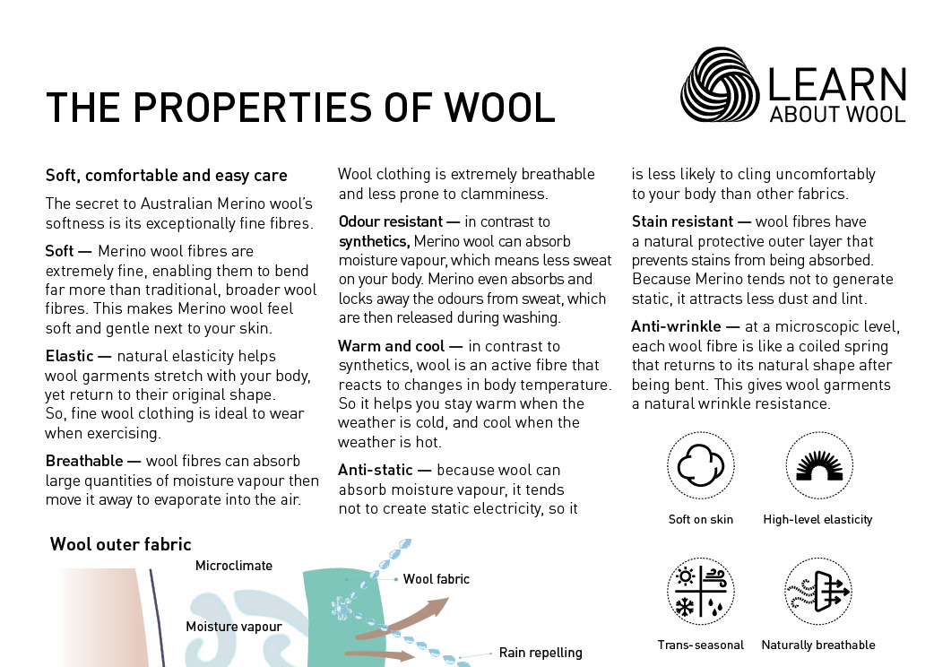 Sheep Wool: A Comprehensive Guide Gallery 2