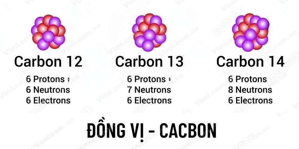 H1: Các Đồng Vị Của Hiđrô Gallery 1