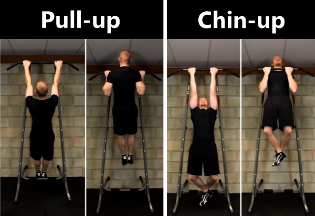 Pull Up Là Gì?