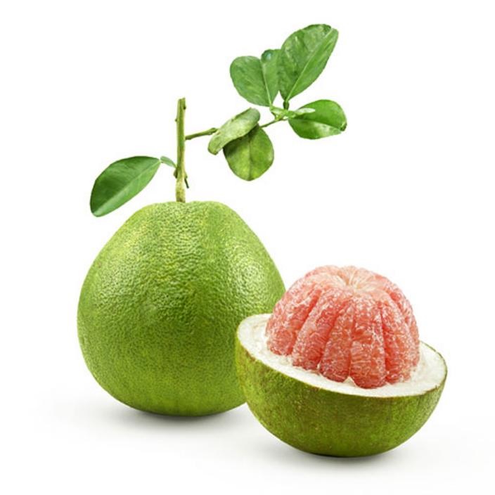 What is Pomelo in English? Gallery 2