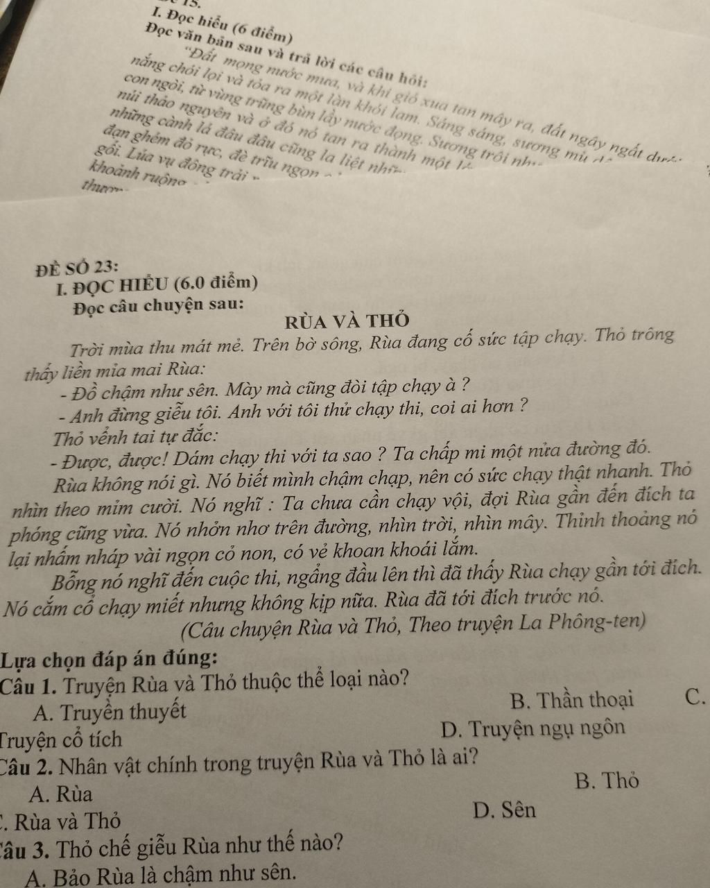 Bài học sâu sắc từ câu chuyện Rùa và Thỏ