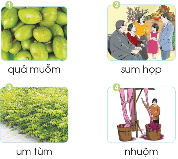 Quả gì có vần uôm?