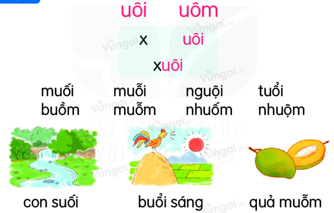 Quả gì có vần uôm? Gallery 2