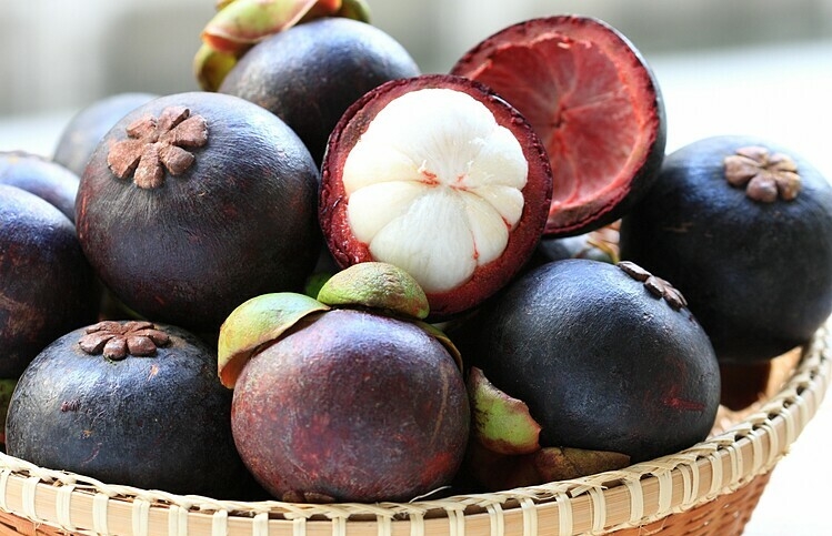 Quả gì màu tím?