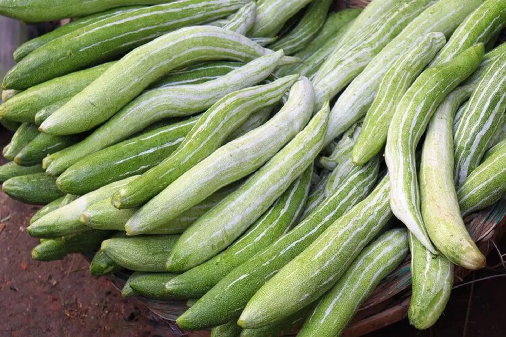 Quả Lặc Lè Có Tác Dụng Gì?