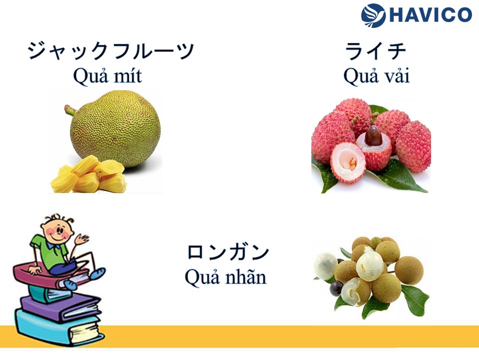 Quả mít tiếng Nhật là gì?