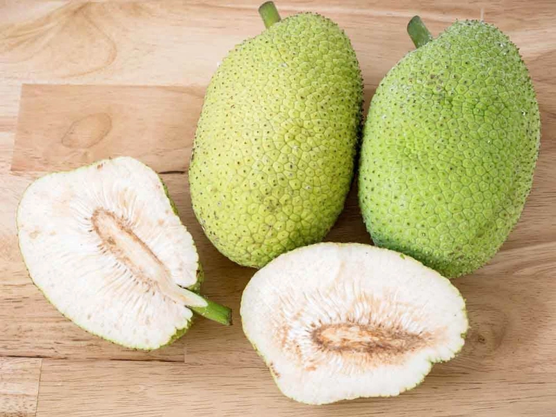 Quả Sa kê có tác dụng gì? Gallery 2