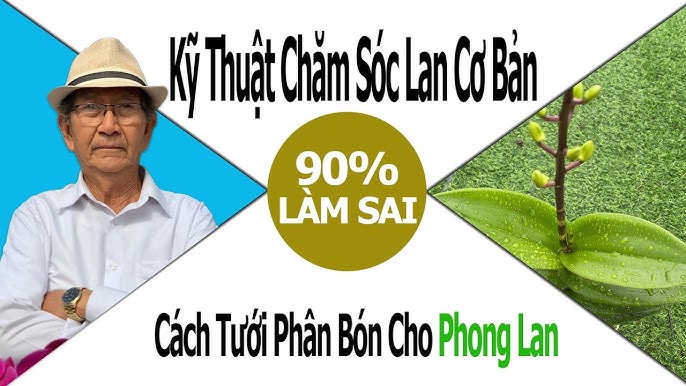 Quy trình chăm sóc lan mới nhất của thầy Tám Ngọc Gallery 2