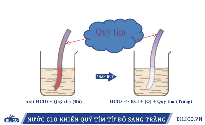 Cl2 ra nước clo Gallery 1