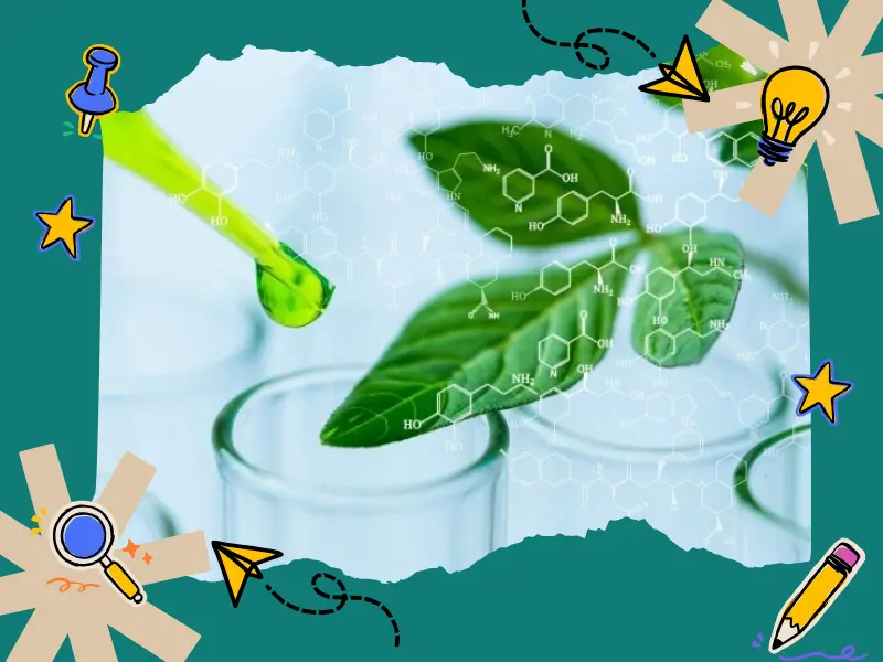 Propyl fomat được điều chế từ gì? Gallery 1