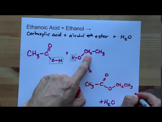 Chuyển đổi Axit Ethanoic thành Ethyl Ethanoate Gallery 1