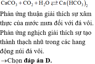 Phản ứng tạo thạch nhũ Gallery 1