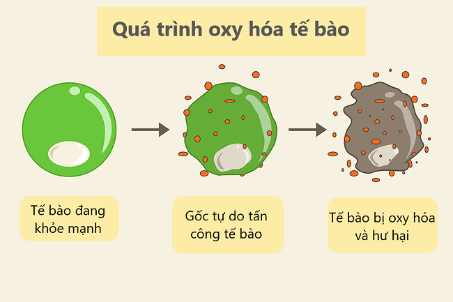 Oxy hóa là gì? Gallery 1