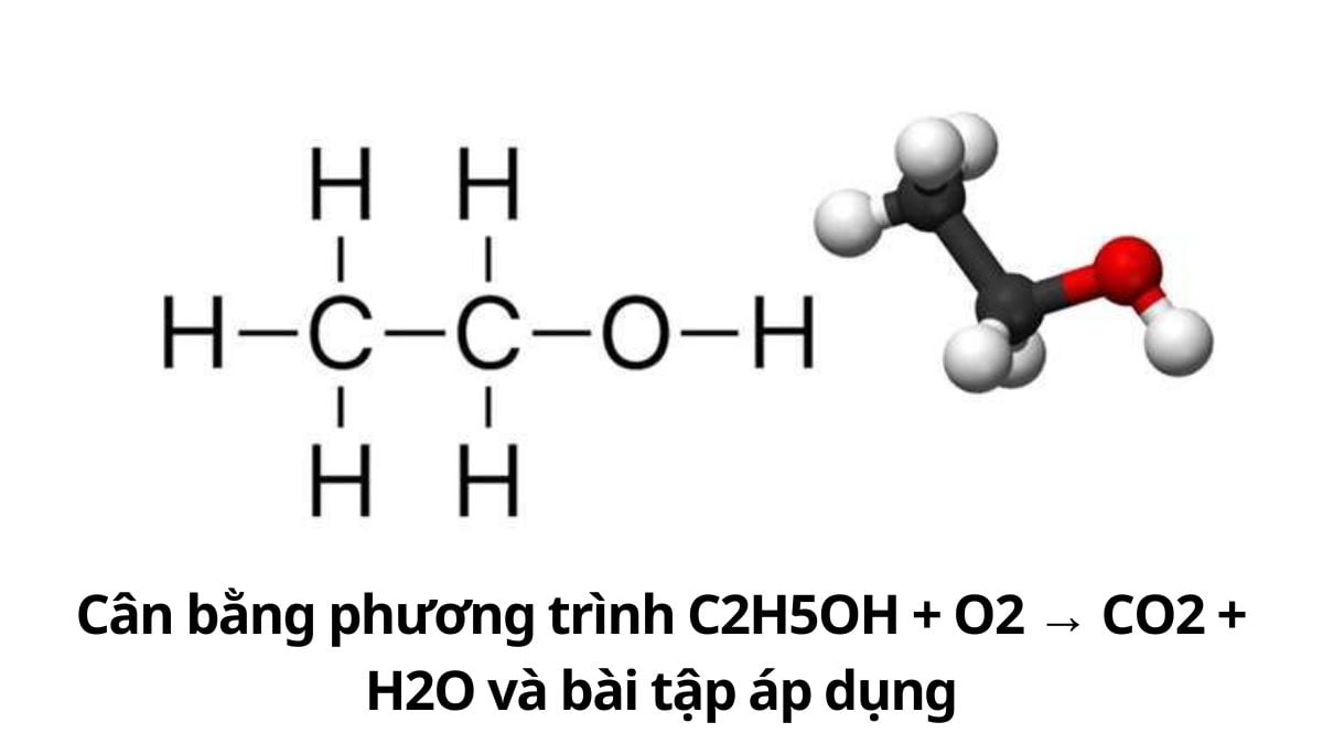 C2H5OH tạo ra CH3COOH Gallery 2
