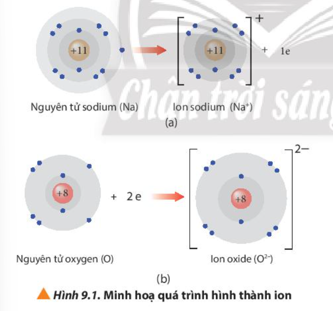 Quá trình tạo thành ion Al3+ nào sau đây là đúng?
