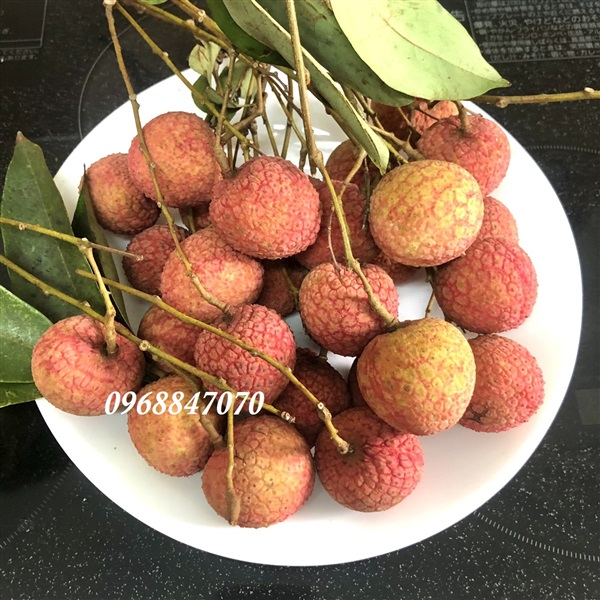 Quả vải có tên gọi khác là gì?