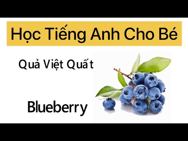 What is Blueberry in English?