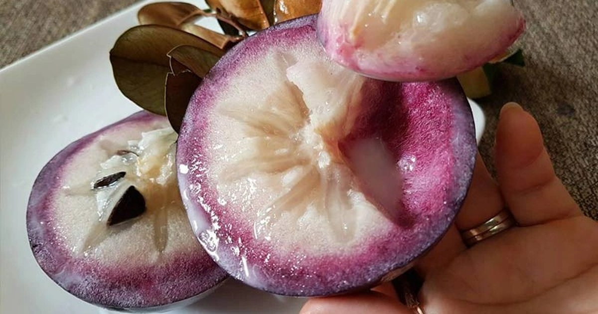 Quả Vú Sữa Chín Ngọt Ngào, Mềm Mại
