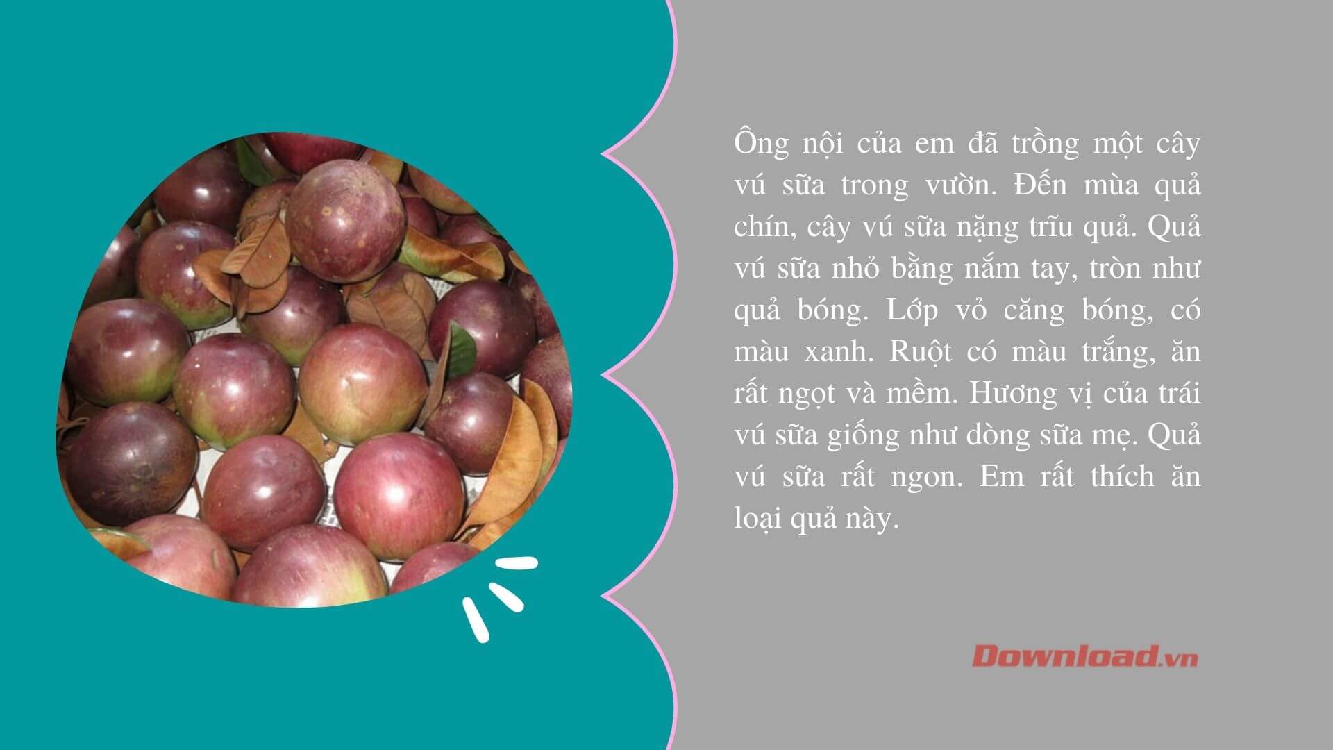 Đoạn Văn Tả Loại Quả Em Thích (Lớp 2) Gallery 1