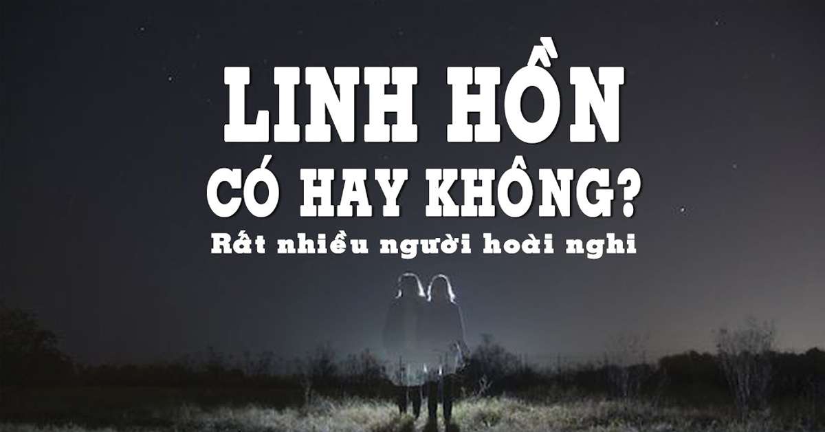 Những Linh Hồn Chết Gallery 2
