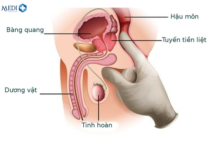 Quan Hệ Là Gì?