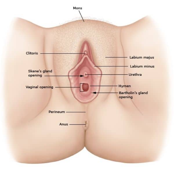 Quan Hệ Là Gì? Gallery 2