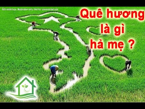 Quê Hương Là Gì Hả Mẹ?