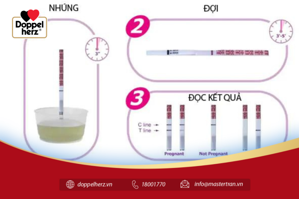 Que thử thai bao lâu thì thử được?